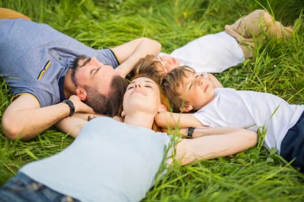 85481047 - happy family in the meadow